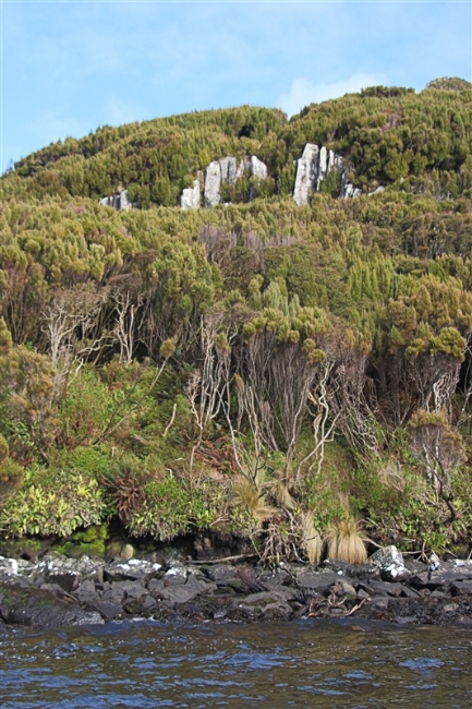 CampbellIs  2366 m Rata Forest